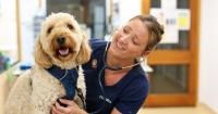 Milton Keynes vet launches a new pet healthcare plan with unlimited consultations