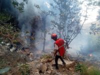 Five Americans, Ecuador intelligence chief among 7 killed in Kenya helicopter crash