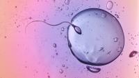 IVF scandal as dozens of British children ‘conceived using WRONG sperm or eggs’