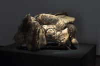 “A journey into a whole new material world”: Plant Life at the NGV