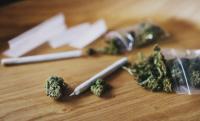 Raids loom for Gauteng’s cannabis shops, leaked police memo shows