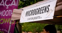 Montana Ag Network: From the roots up, Cascade couple grows new microgreen business