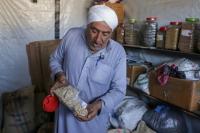 'Ray of hope': Gaza seed bank rebuilds after wartime destruction