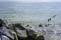 Palestinian couple and teenage daughter tragically die in Shoreham sea tragedy