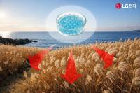 LG Electronics to Grow Seaweed Forest Half the Size of Yeouido