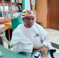 Nigeria calls for end to Afrophobic attacks in S/Africa
