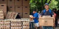 El Salvador Supports Farming Families as Dry Weather Threatens Agricultural Production