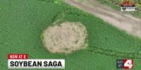 Soybean crops damaged in Lincoln County vandalism