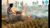 Farm machines to FIRs: Haryana firms up strategy to clear skies of stubble smoke