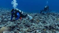 Although Sāmoa’s ocean has a warning, it has a way forward