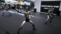 China robot makers seek to turn humanoid hype into useful work