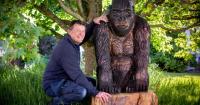 North Wales music festival goes ape with giant gorilla and 8ft tall bear sculptures