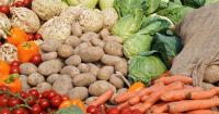 Albania imports more food as local production falls behind