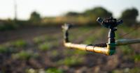 PODCAST | How nature creates sustainable investment value