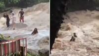 Tourists Ignore Warning Signs For Selfies, Get Swept Away By Sudden Flash Flood At Waterfall