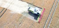 Farmers warn of drought toll on grain harvest