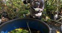 A look at where mosquito health alerts are in effect across Florida