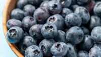FDA upgrades recall of blueberries sold nationwide to highest health risk level & say ‘reasonable probability of death’