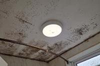 Nobody will help me says Wigan mum-of-four living in mould-ridden rented house