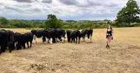 Drought-hit farms are desperately seeking climate solutions after brutal summer