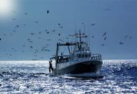 Call made for fishermen to receive full compensation for offshore wind development impacts