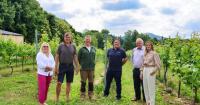 Vineyards launch first ever Malvern Hills Wine Festival