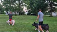 Grinnell teen brothers discuss Iowa State Fair preparation ahead of first day of school