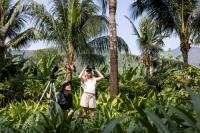 DISCOVERING VIETNAM FROM CULTURE TO COAST