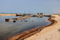 UAE halts all trade to Iran after barrage