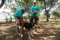 Texas animal adoptions halted