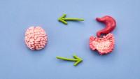 Rome Criteria for IBS: When Is Further Testing Needed?