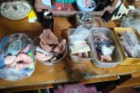 Five arrested for unlicensed dental and medical services