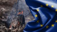 Heatwaves and energy crunch: Can Europe withstand a double shock?