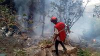 Seven Killed After Tourist Helicopter Crashes in Kenya