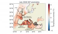 Climate change drove extreme July heat in European seas, study finds