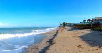 WATERLINE: A summer trip to Florida