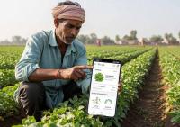 Global AI Impact Commons Stories: KhetScore