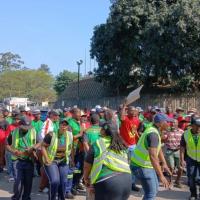 Sugar workers down tools at Tongaat Hulett as industry bargaining process continues