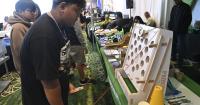 PHARE highlights local creativity in Guam's hospitality sector