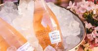 The best wine for tailgating? Here’s why sommeliers love rosé.