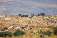 Israel Faces International Criticism Over Strikes on Syria