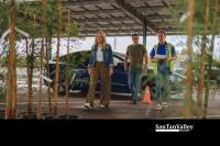 SRP Electric Customers Can Get Two Free Shade Trees After a Short Online Workshop