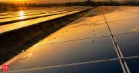 In 2010, researchers tested solar panels with white lines; the modified surfaces were up to 26 times less attractive to polarotactic insects