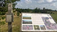 Scenes while hiking the Songbird Trail at Sand Valley in Rome      