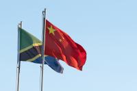 TZ targets China export boom before 2028