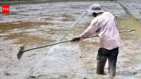 Sri Lanka braces for strongest El Nino impact in early 2027