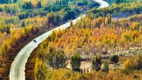 How China turns sand green, taking its ecological playbook global
