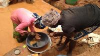 Central African Republic gold mine collapse kills more than ...