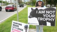 They opposed shooting bears. Florida spied on them because of it.