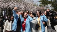 Universities turn to open majors to help international students adjust